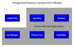 Integrated delivery systems1